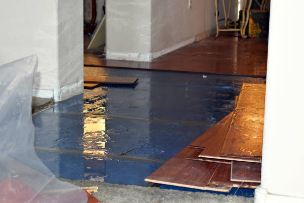 Professional Flood Cleanup technician working in Central Point, OR